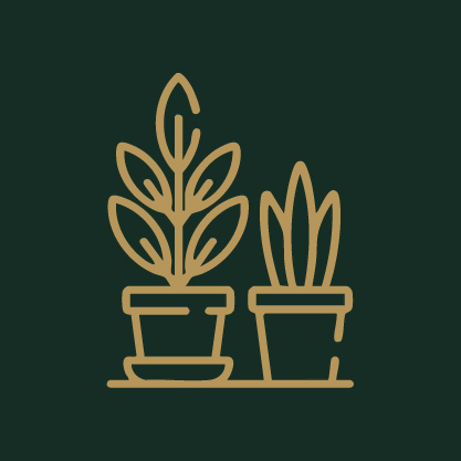Gold potted houseplants line art icon on dark green background – indoor plants gift logo design
