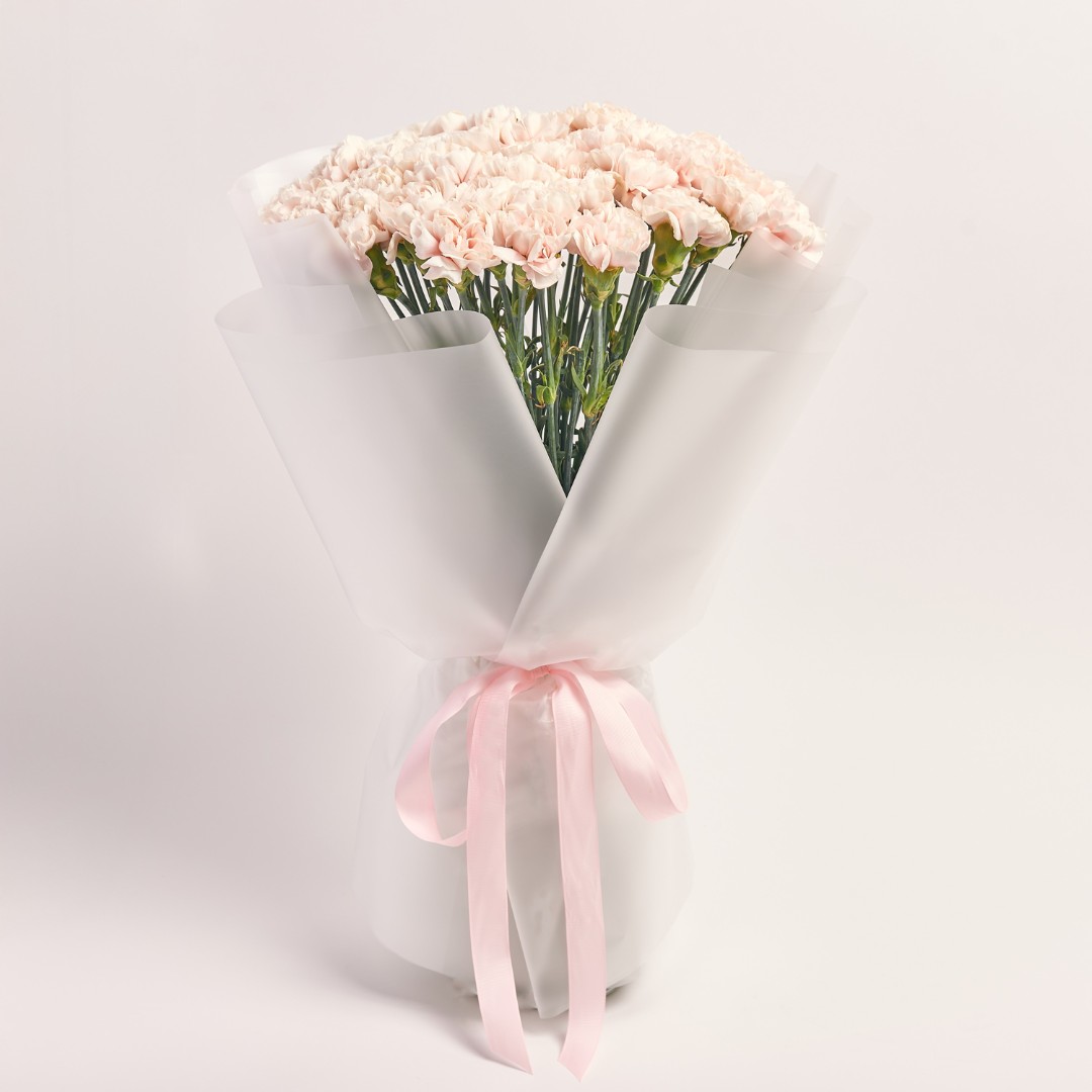 Soft white carnation bouquet wrapped in clear paper with a pink ribbon