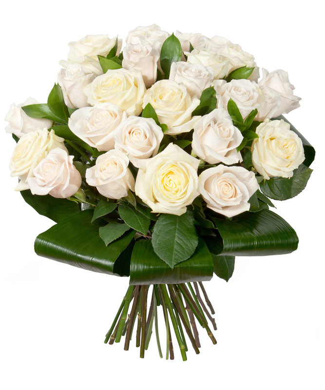 Bouquet of cream and white roses with lush green leaves wrapped in a large leaf collar