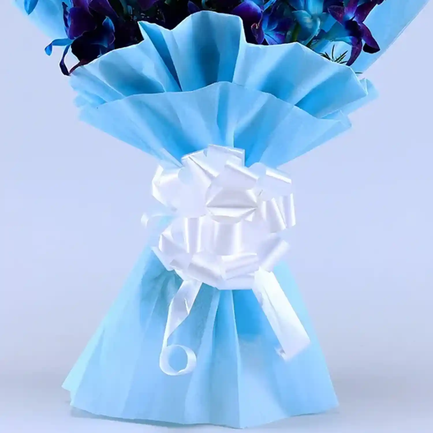 The Royal Blue Orchid