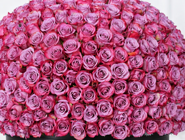 Detail shot of tightly packed pink roses arrangement
