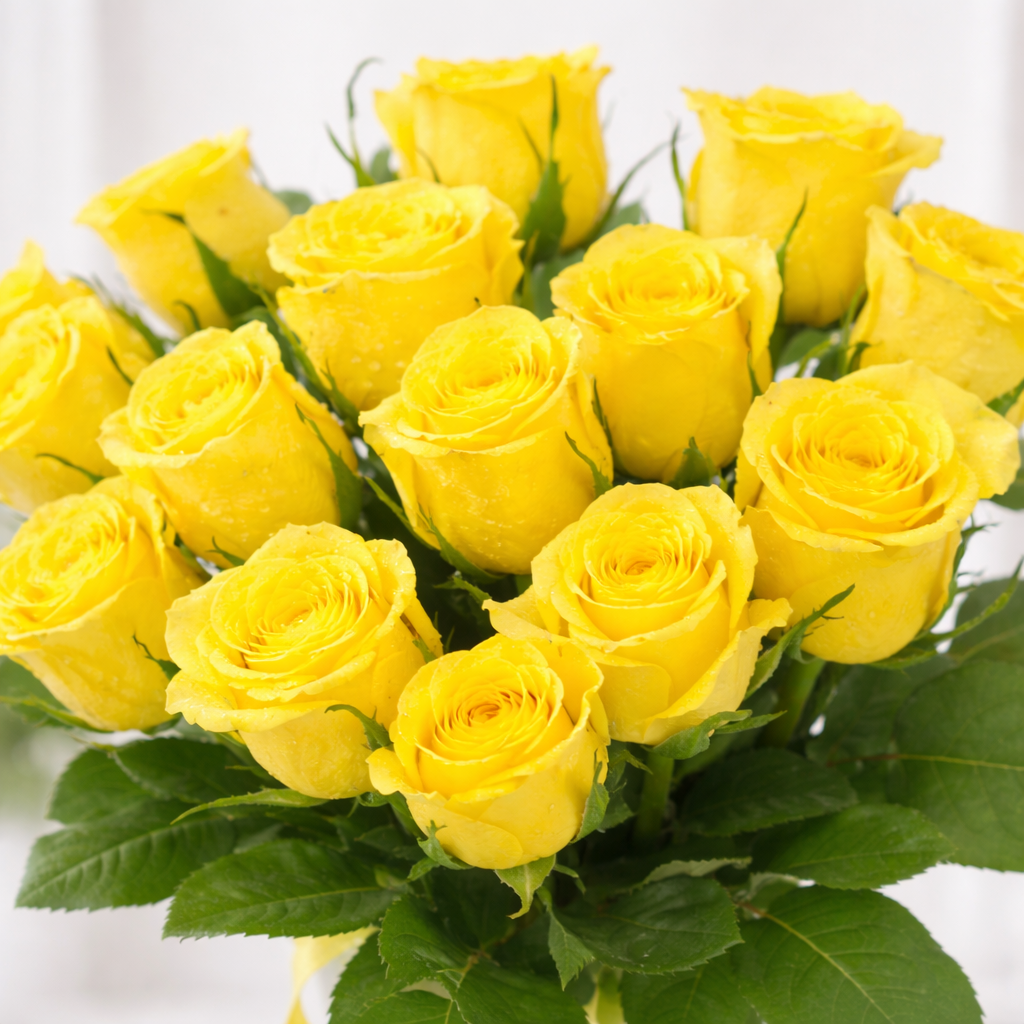 Close-up of fresh yellow roses with green leaves