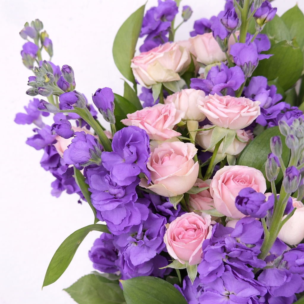 Close-up of blush pink spray roses nestled among purple stock flowers and green leaves.