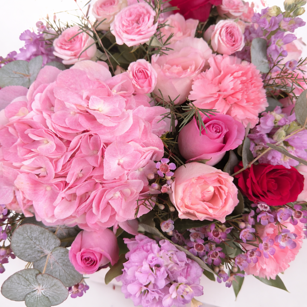 Close-up of pink and red roses with hydrangea flowers.