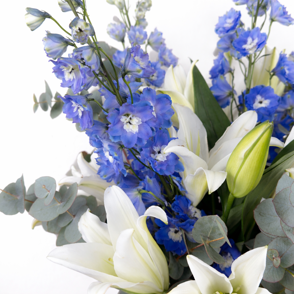 Close-up of blue delphinium blooms, white lily buds, and eucalyptus leaves on a white background.