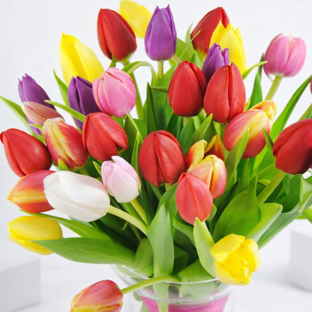 `Close-up of a vibrant mixed tulip bouquet in red, yellow, purple, pink, and white.`
