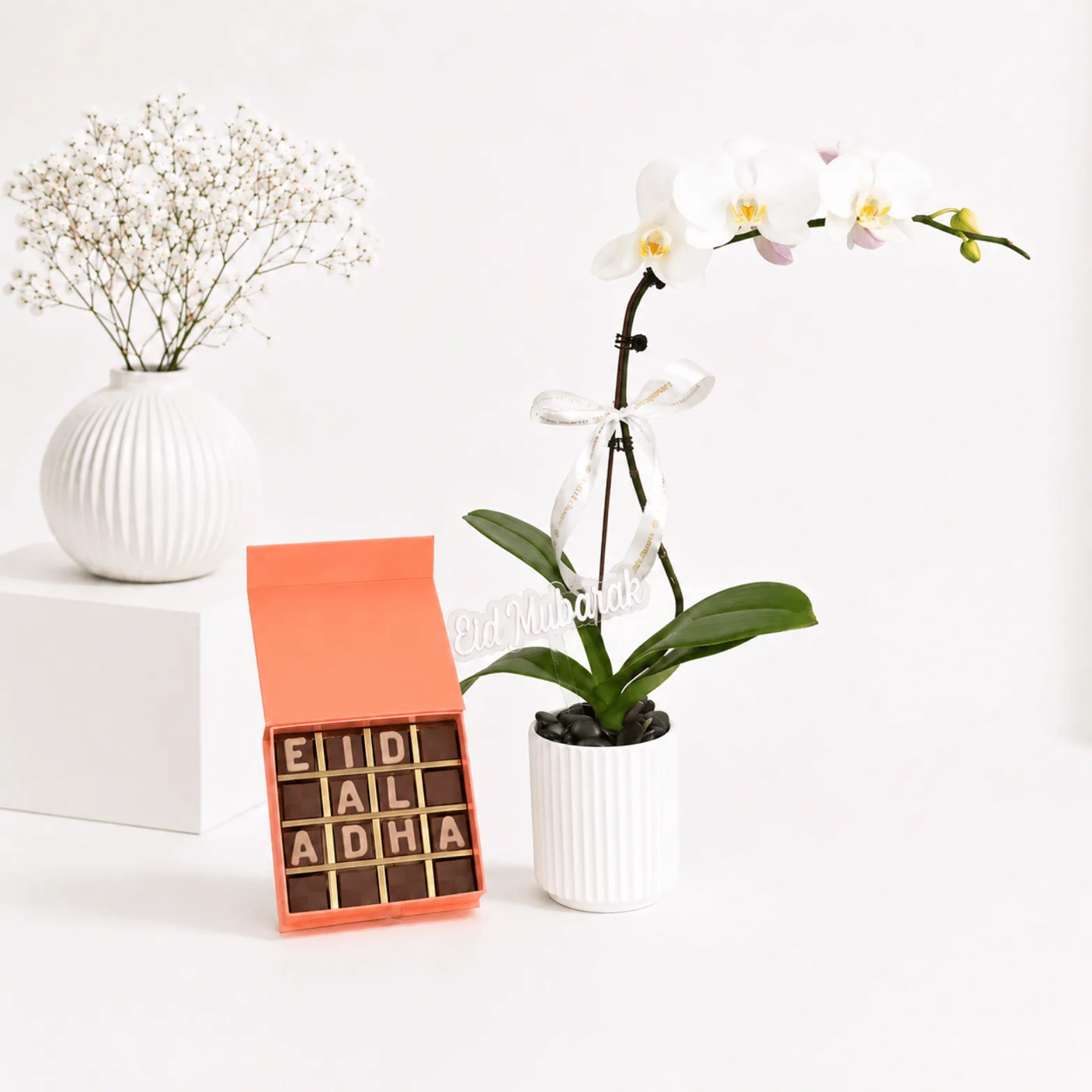 Purple orchid plant in pink vase