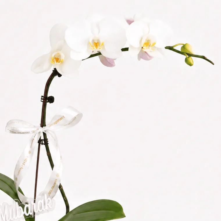 Elegant purple orchid flower arrangement