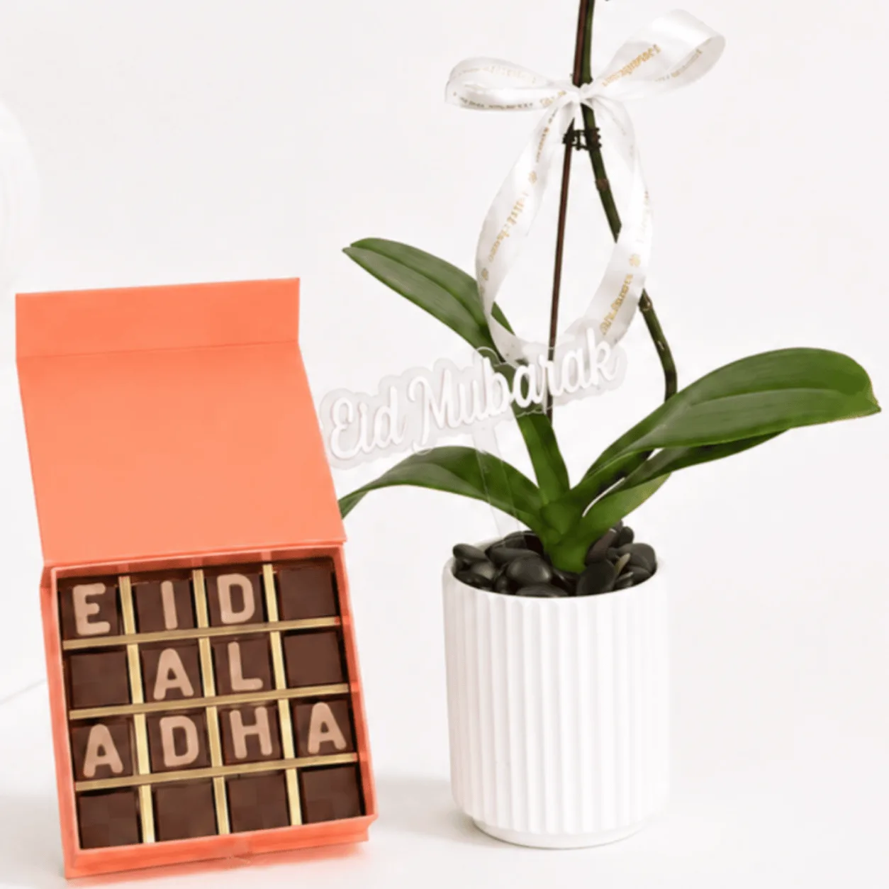 Single orchid plant gift in pink pot