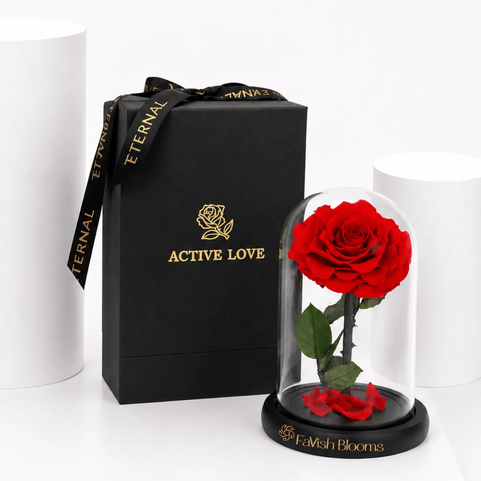 Luxury preserved red rose displayed in a glass dome with a premium black gift box, elegant black ribbon, and white studio background by Favish Blooms.
